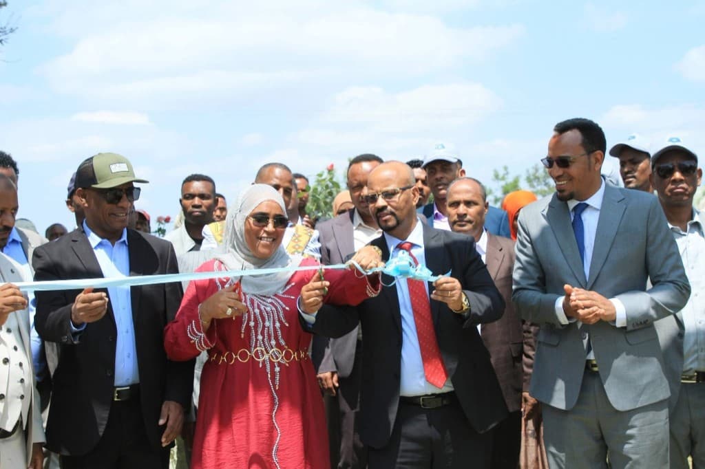 Vita Saluti Steel Factory Inaugurated in Central Ethiopia Region, photo 2 of 4